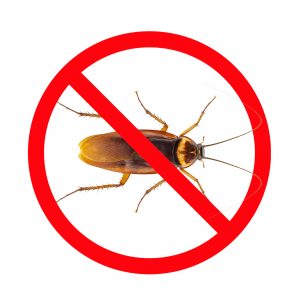 pest control san antonio